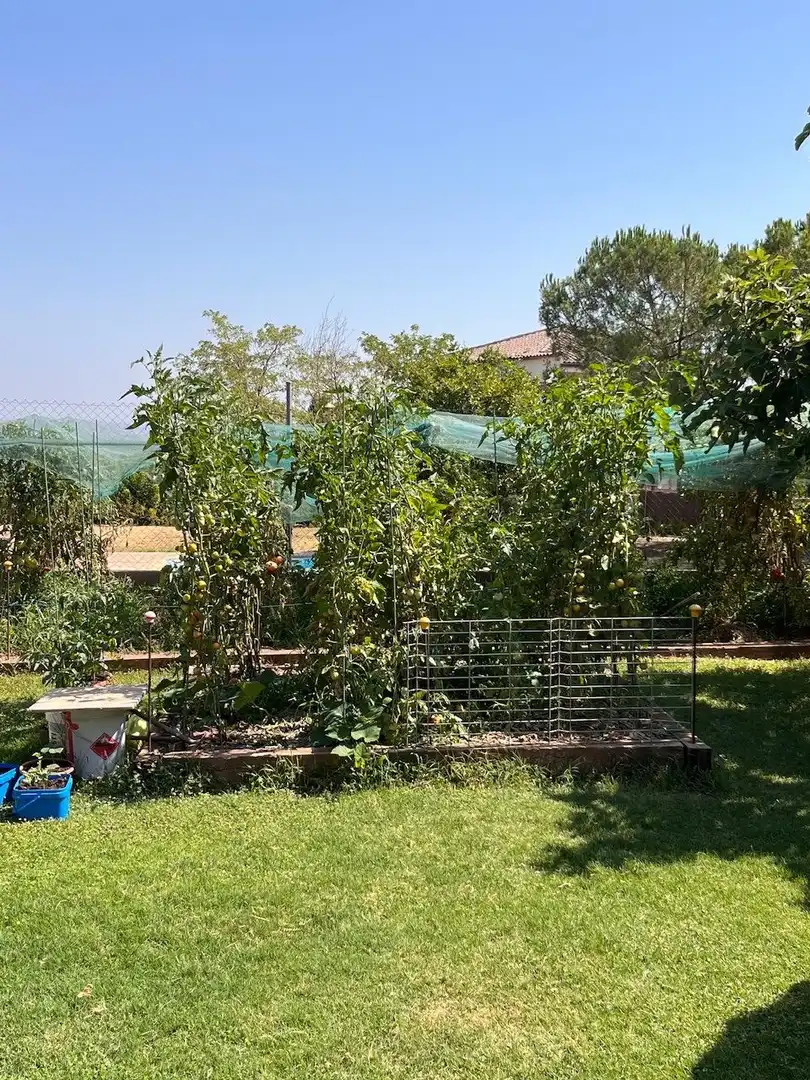 House with terrace for sale in Sant Salvador de Guardiola, imagen 12