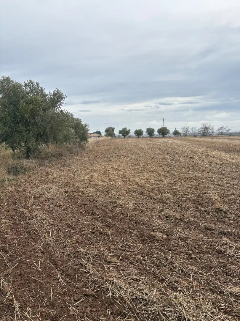 Terrenys i solars en venda a Alberite, imagen 6