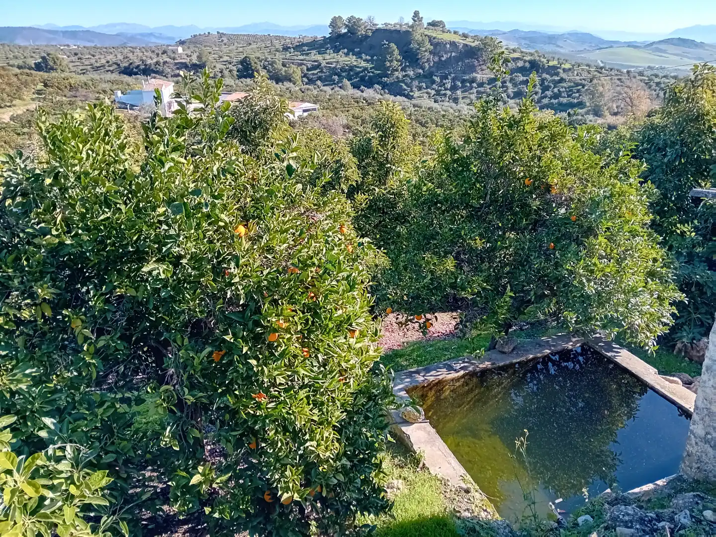 Villa mit Terrasse zum Verkauf in Urbanizacion la Pasadilla, imagen 27