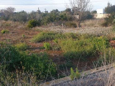 Terreno residenziale in vendita a Madrigal