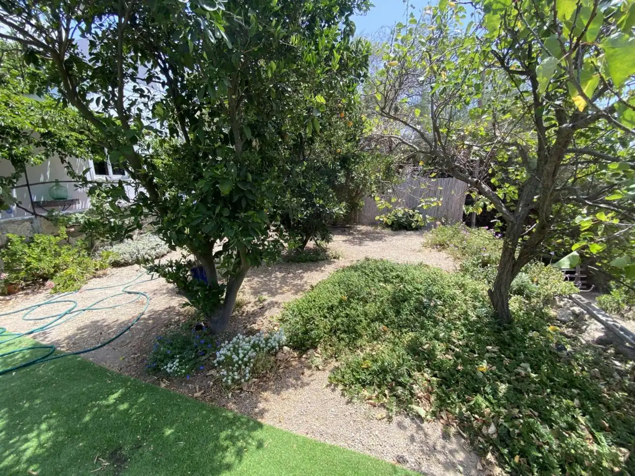 Jardí de Finca rústica en venda en Fasnia amb Jardí privat, Terrassa i Moblat