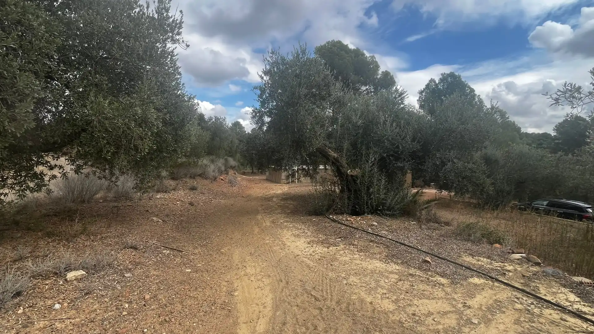 Terreno rustico in vendita a Carrer de Sant Abdó i Sant Senén, imagen 33