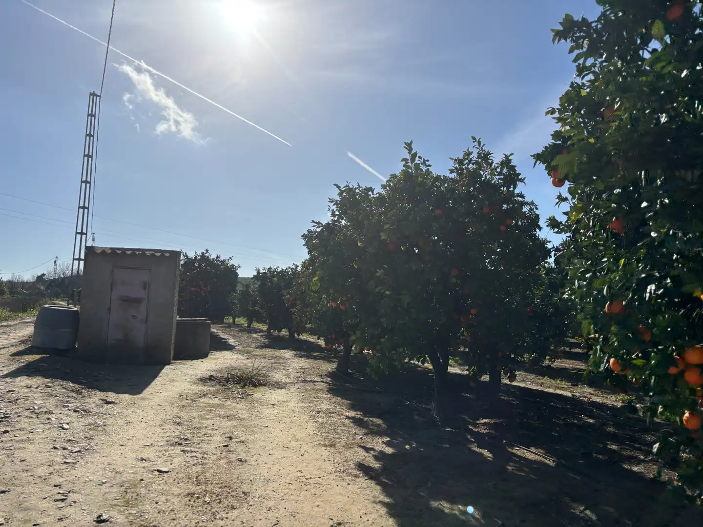Land for sale in Sanlúcar la Mayor