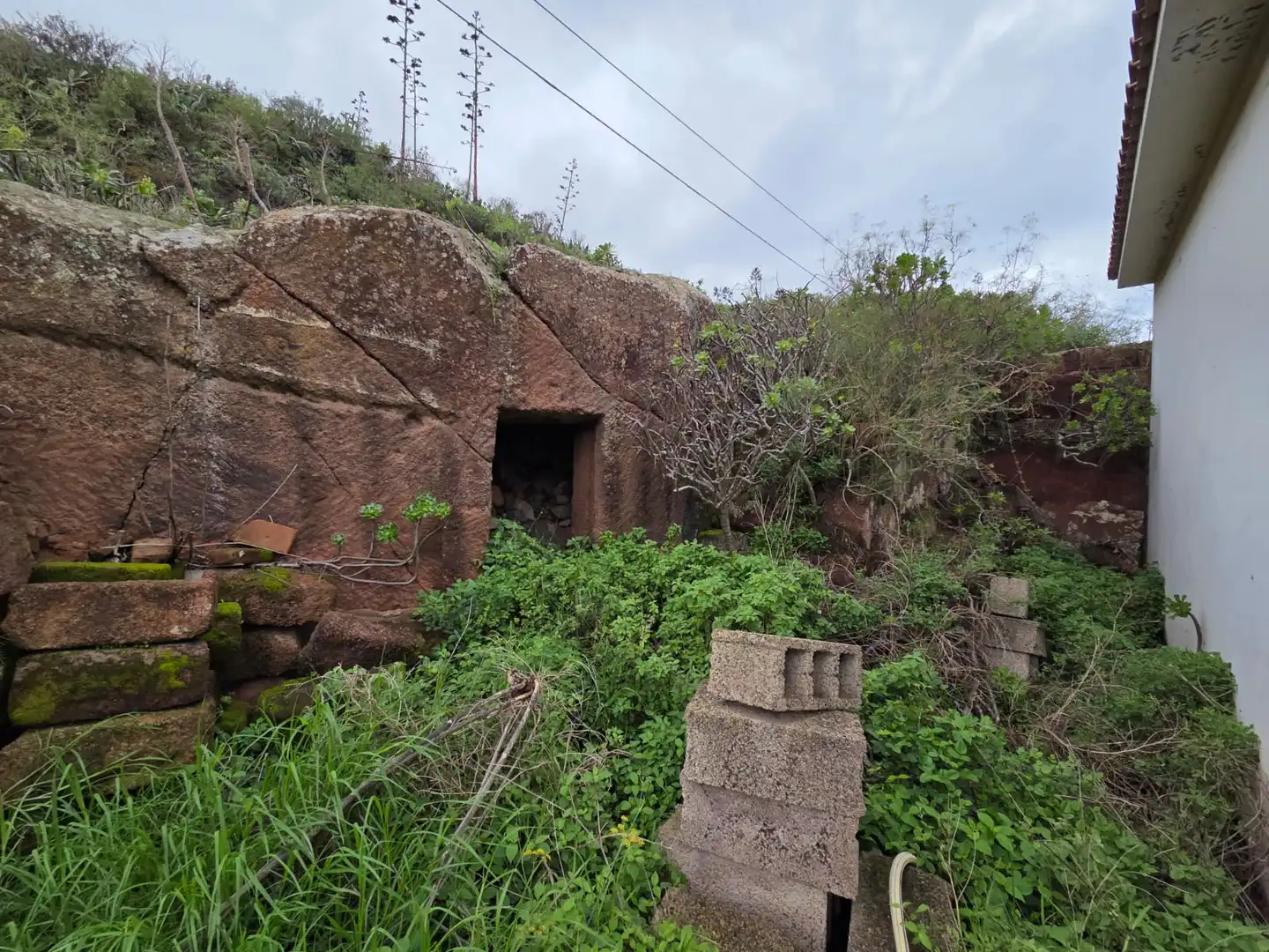Vista exterior de Finca rústica en venta en Tegueste
