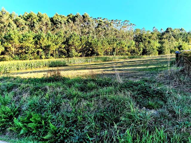 Terreno residencial en Venta en Lugar la ponte en El Franco