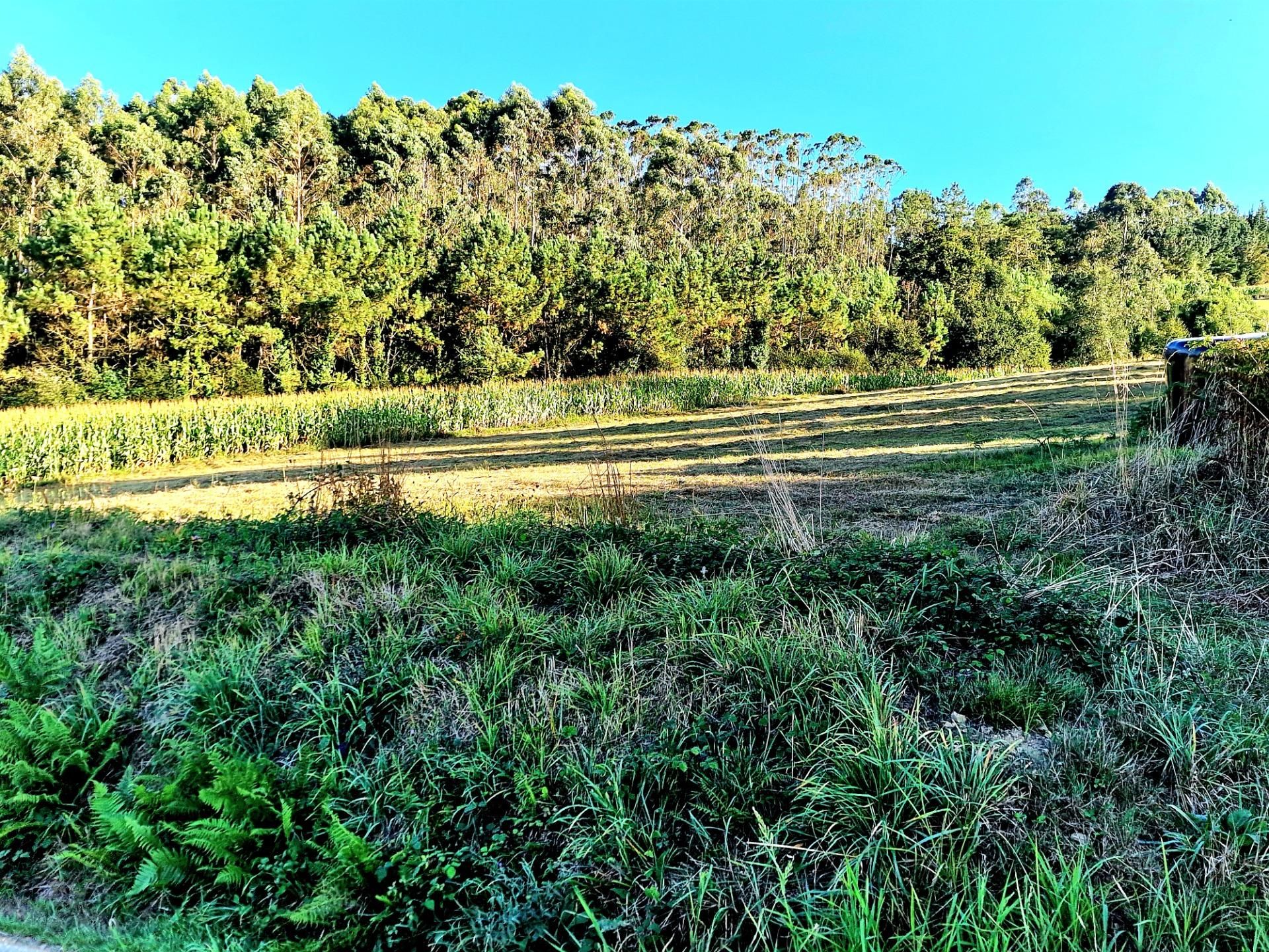 Residential for sale in El Franco 