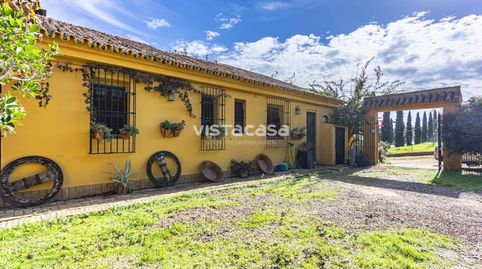 Foto 5 de Finca rústica en venta en Mairena del Alcor, Sevilla
