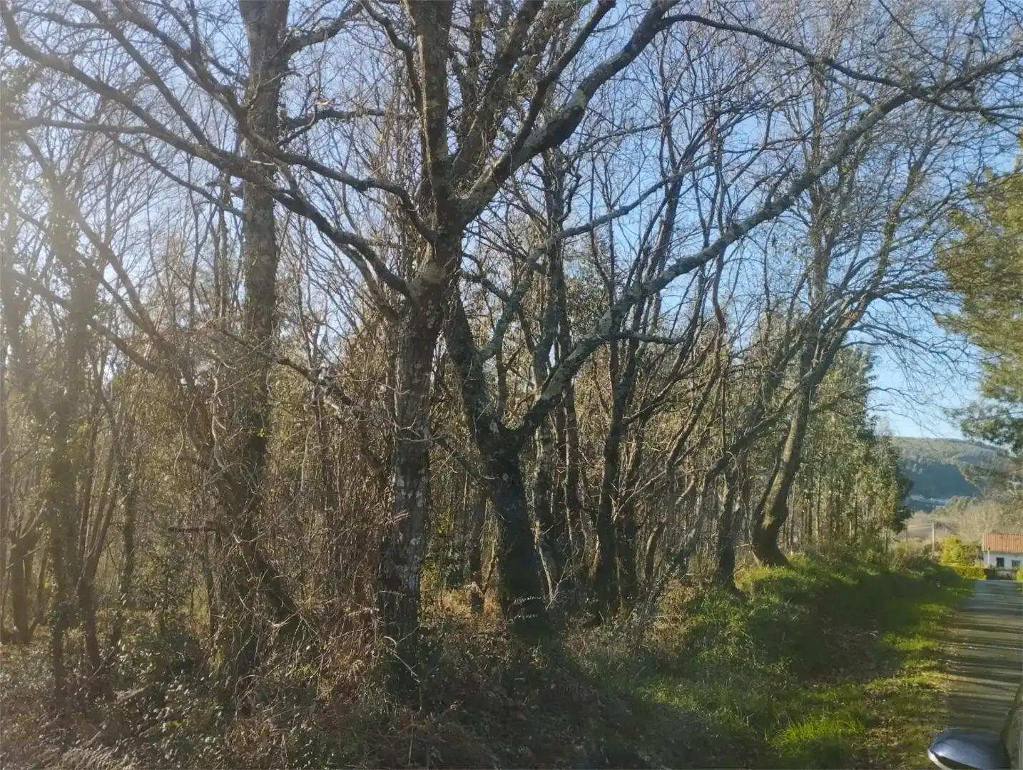 Finca rústica de lloguer en Ferrol