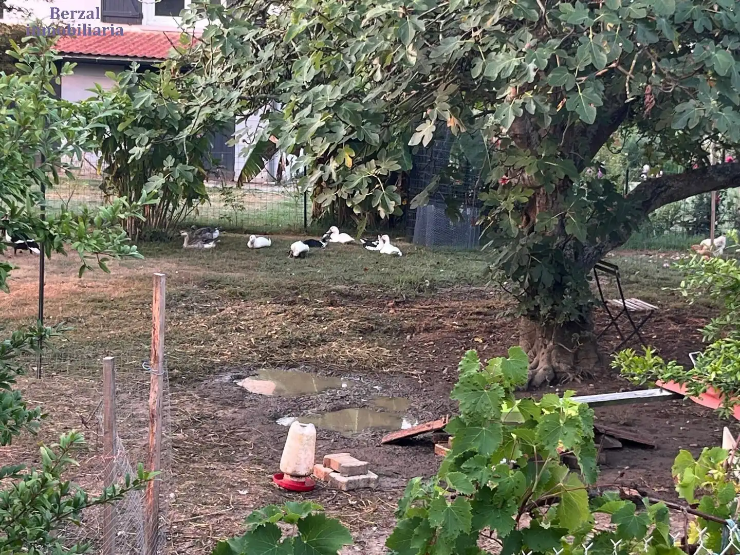 Jardí de Casa o xalet en venda en Fuenmayor amb Calefacció, Terrassa i Traster