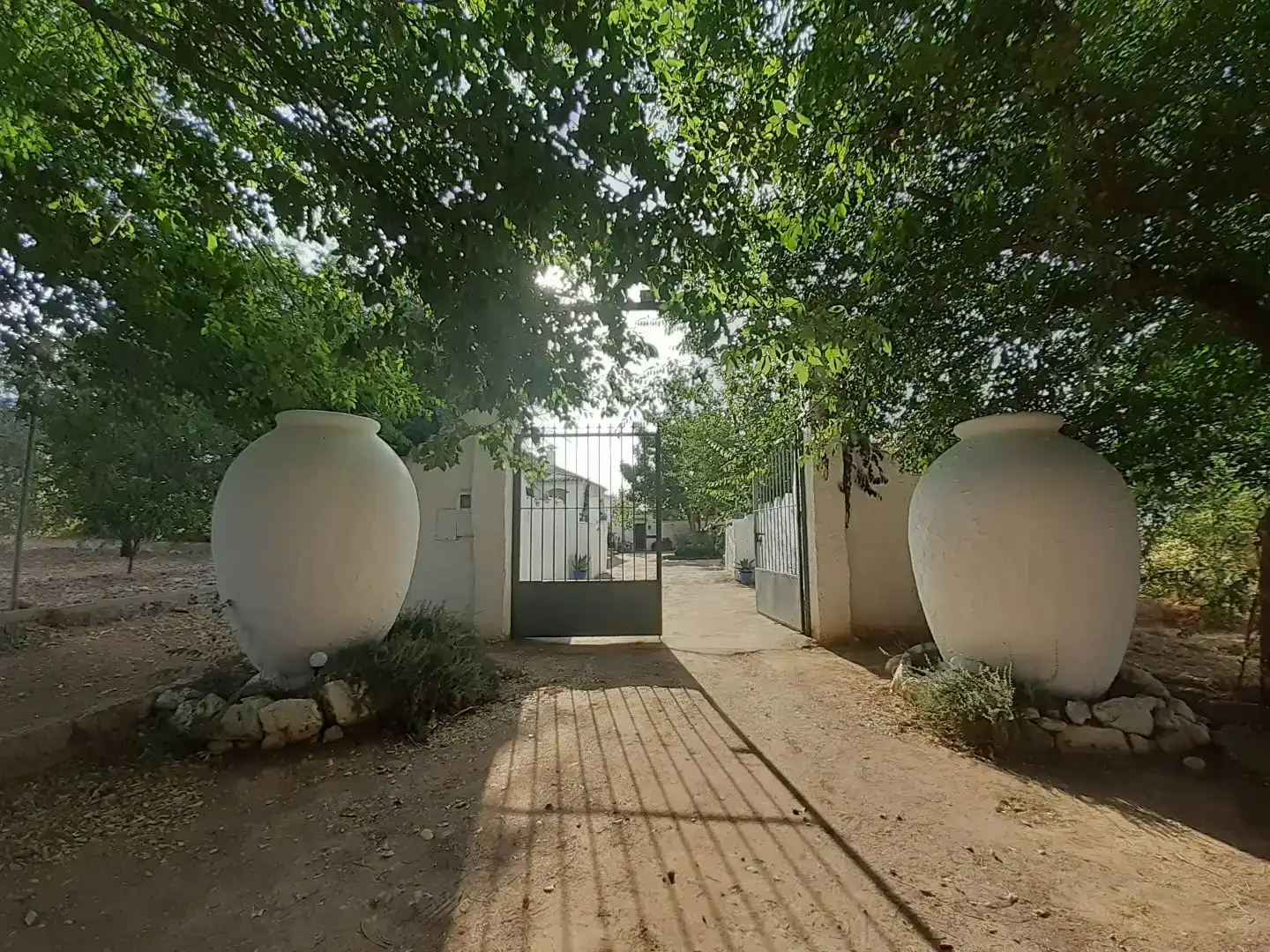 Vista exterior de Casa o xalet en venda en Lucena amb Piscina