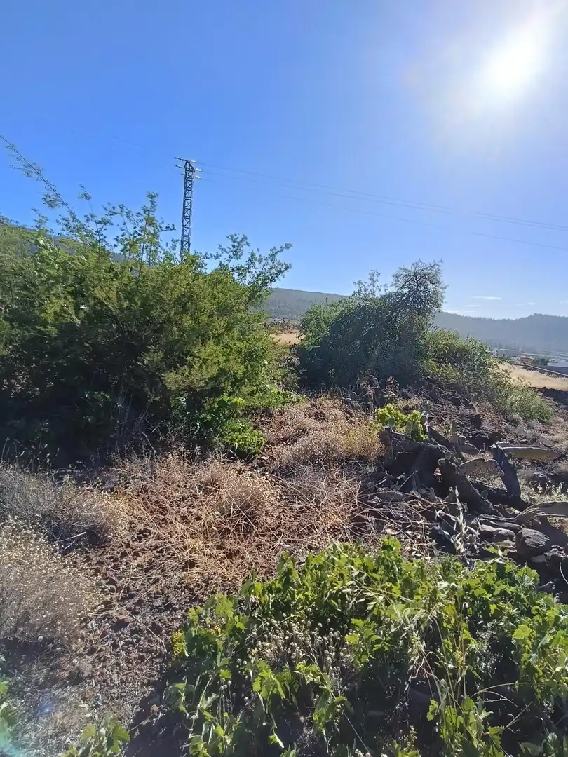 Terreno rústico en venta en M\A LIRIOS. VILAFLOR DE CHASNA [S.C. TENERIFE], imagen 16