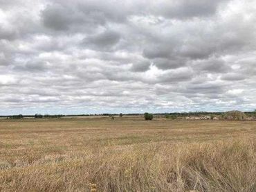 Terreno rústico en venta en Grijota