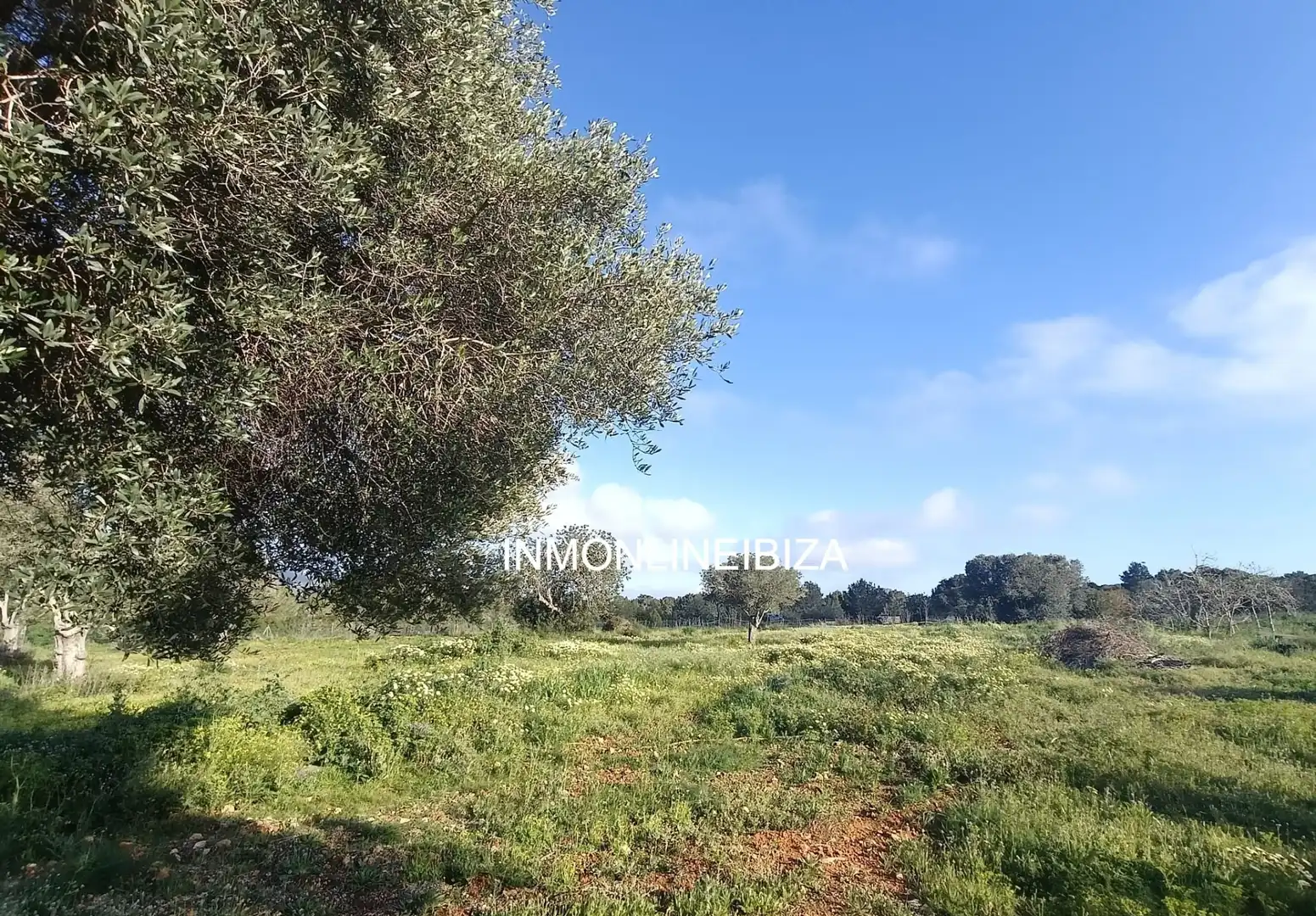 Chalet con piscina en venta en Sant Josep, imagen 5