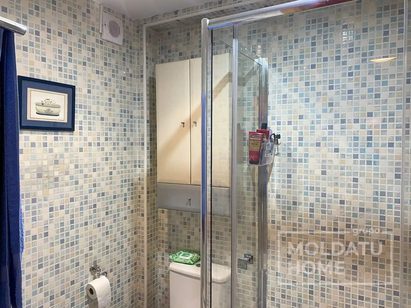 Duplex with lift for sale in Buztintxuri, imagen 49