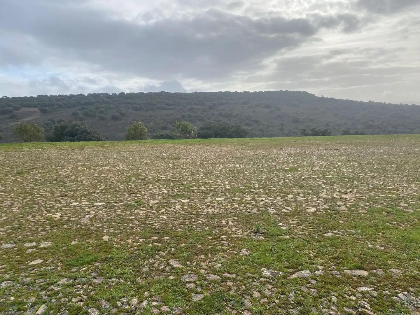 Terreno en venta en Anchuras