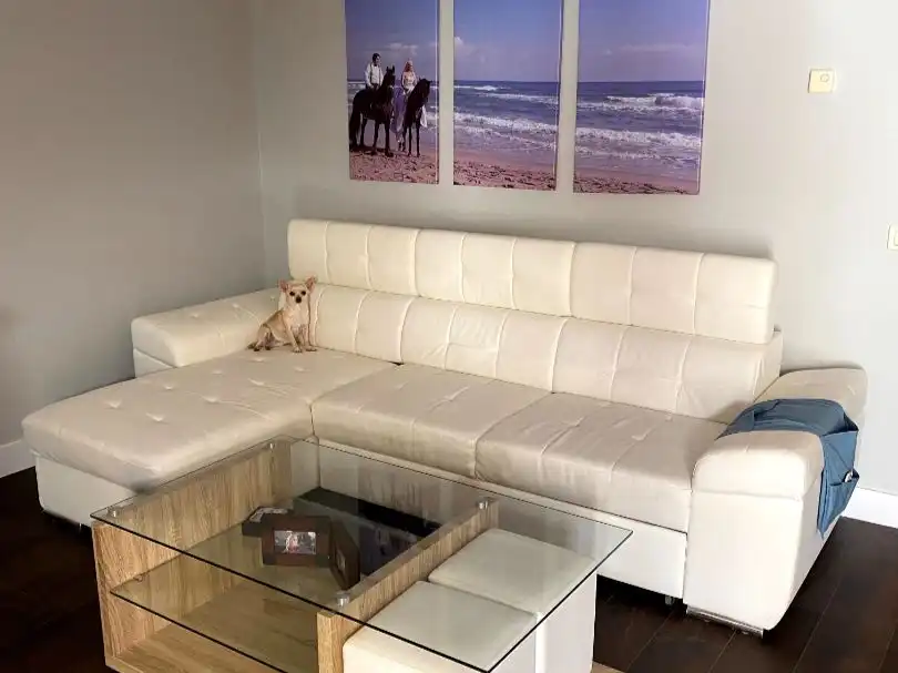 Living room of Houses for sale in Casco Histórico