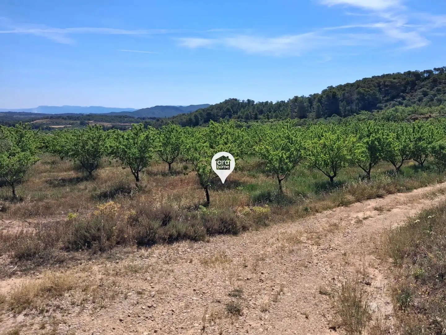 Land for sale in Madrid