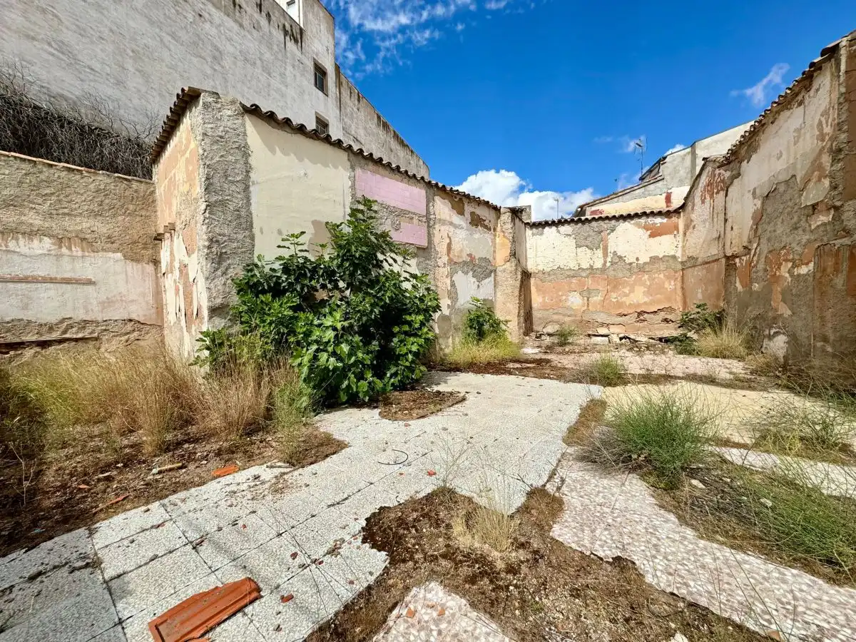 Lands and plots for sale in Valdepeñas, imagen 4