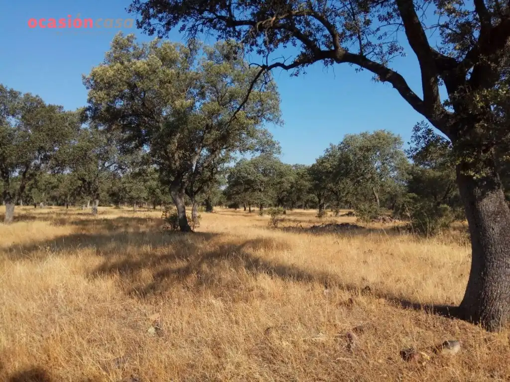 Country homes for sale in Torrecampo