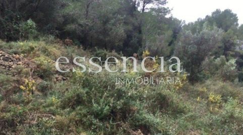 Foto 3 de Finca rústica en venta en Oliva Playa, Oliva