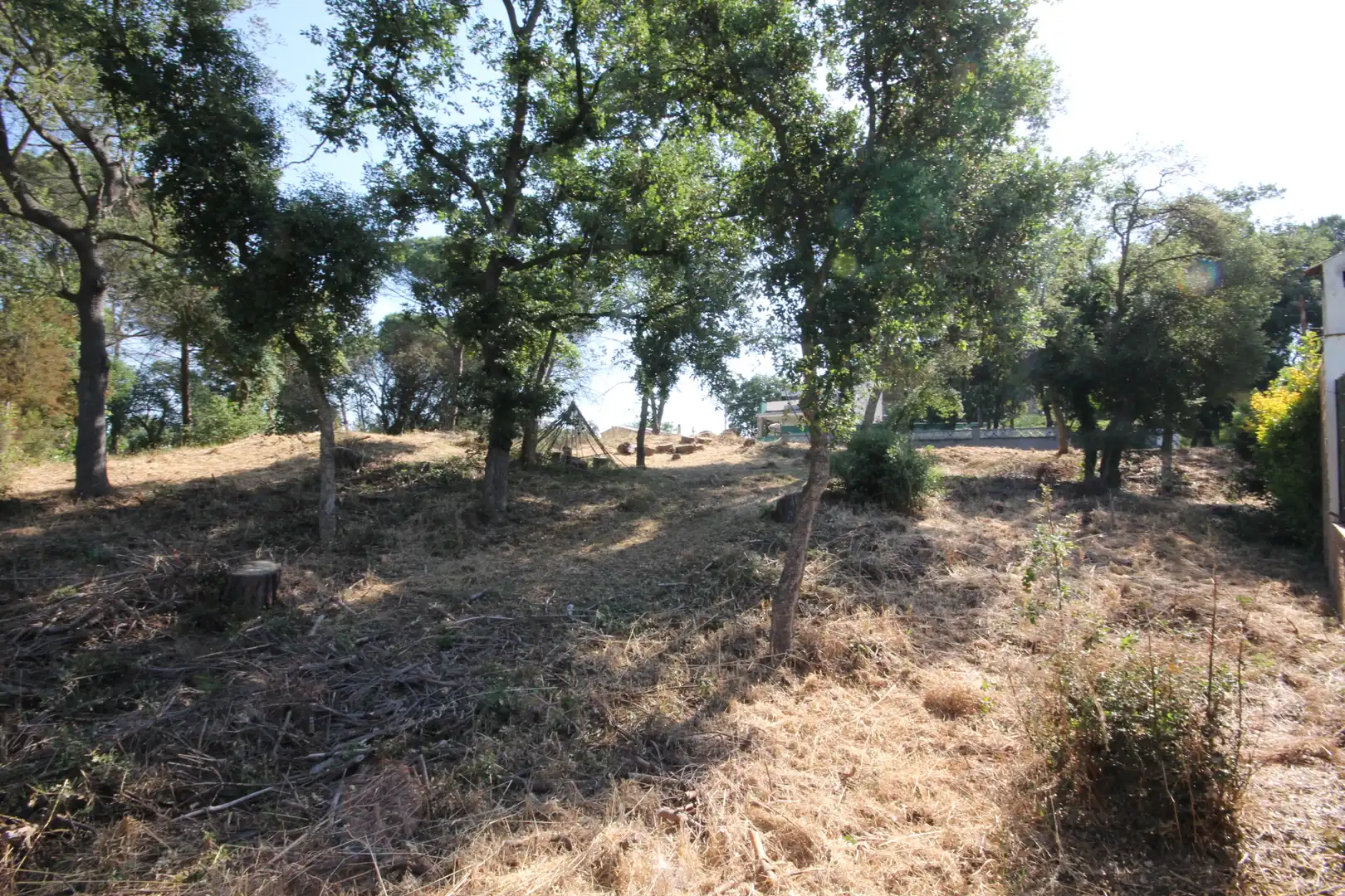 Terreny residencial en venda a Carrer Begònia, imagen 6