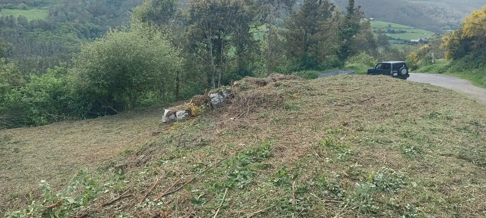 Finca rústica en venta en Vegadeo