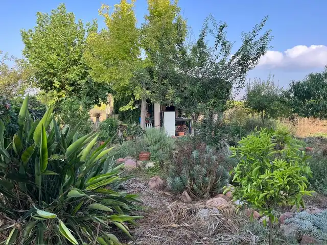 Terreno rustico in vendita a Este, imagen 13