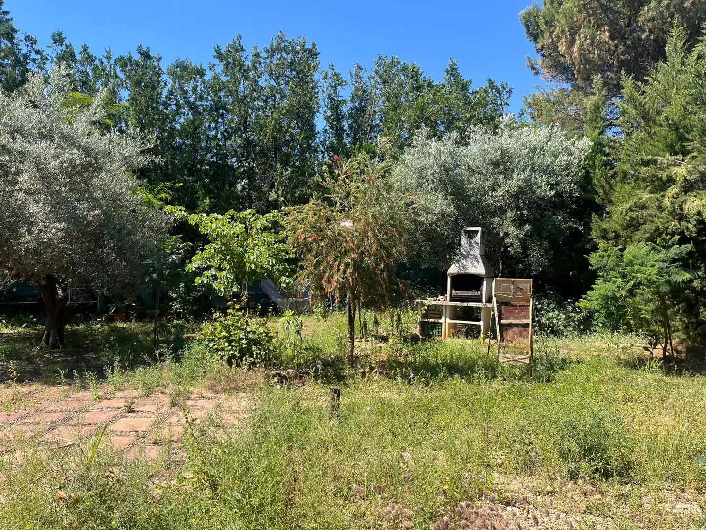 Chalet con piscina en venta en La Carlota, imagen 4