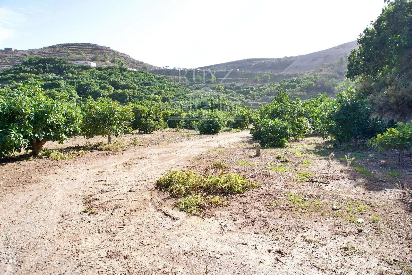Terreni e lotti in vendita a Barranco del Inglés, imagen 44