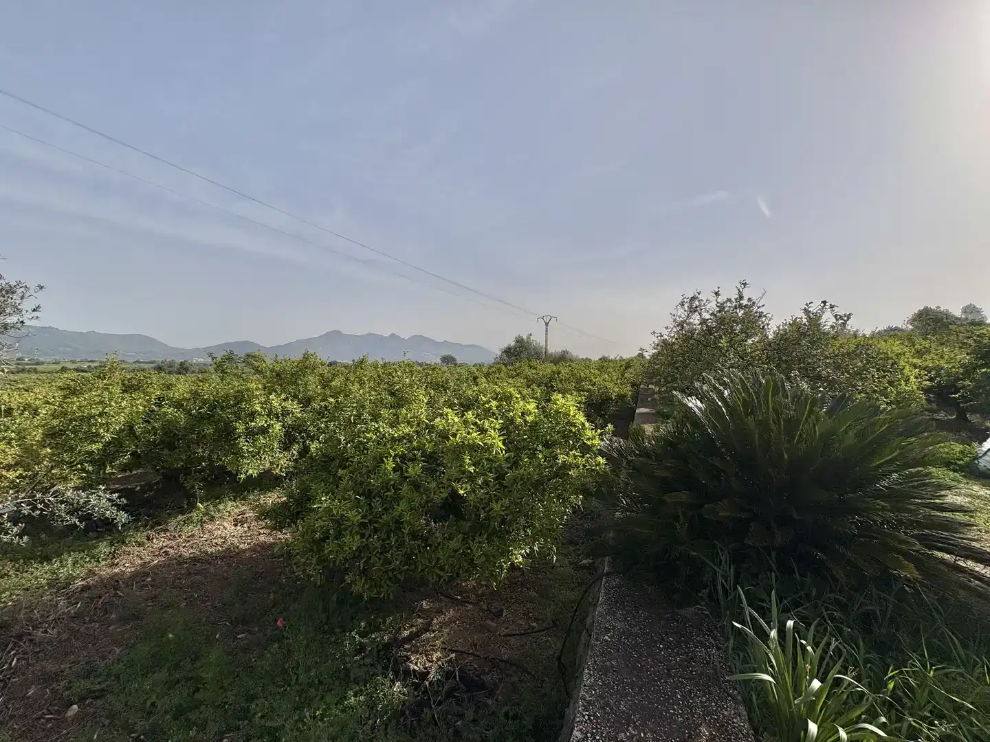 Finca rústica en venda en Orba amb Jardí privat, Traster i Moblat