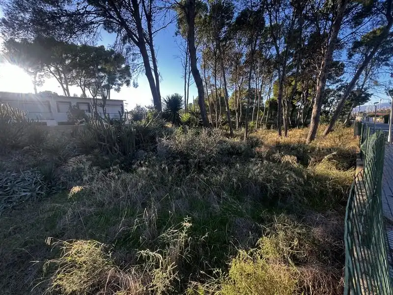 Lands and plots for sale in MIRADOR, imagen 4