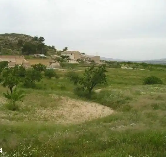 Rustikales Grundstück zum Verkauf in Jumilla, imagen 4