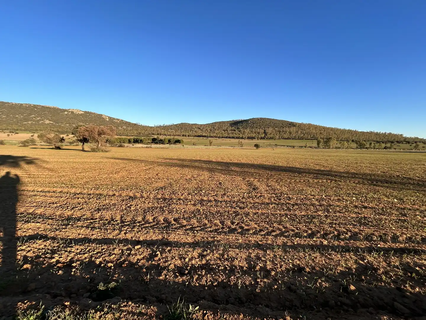 Terreny rústic en venda a Peraleda del Zaucejo, imagen 24