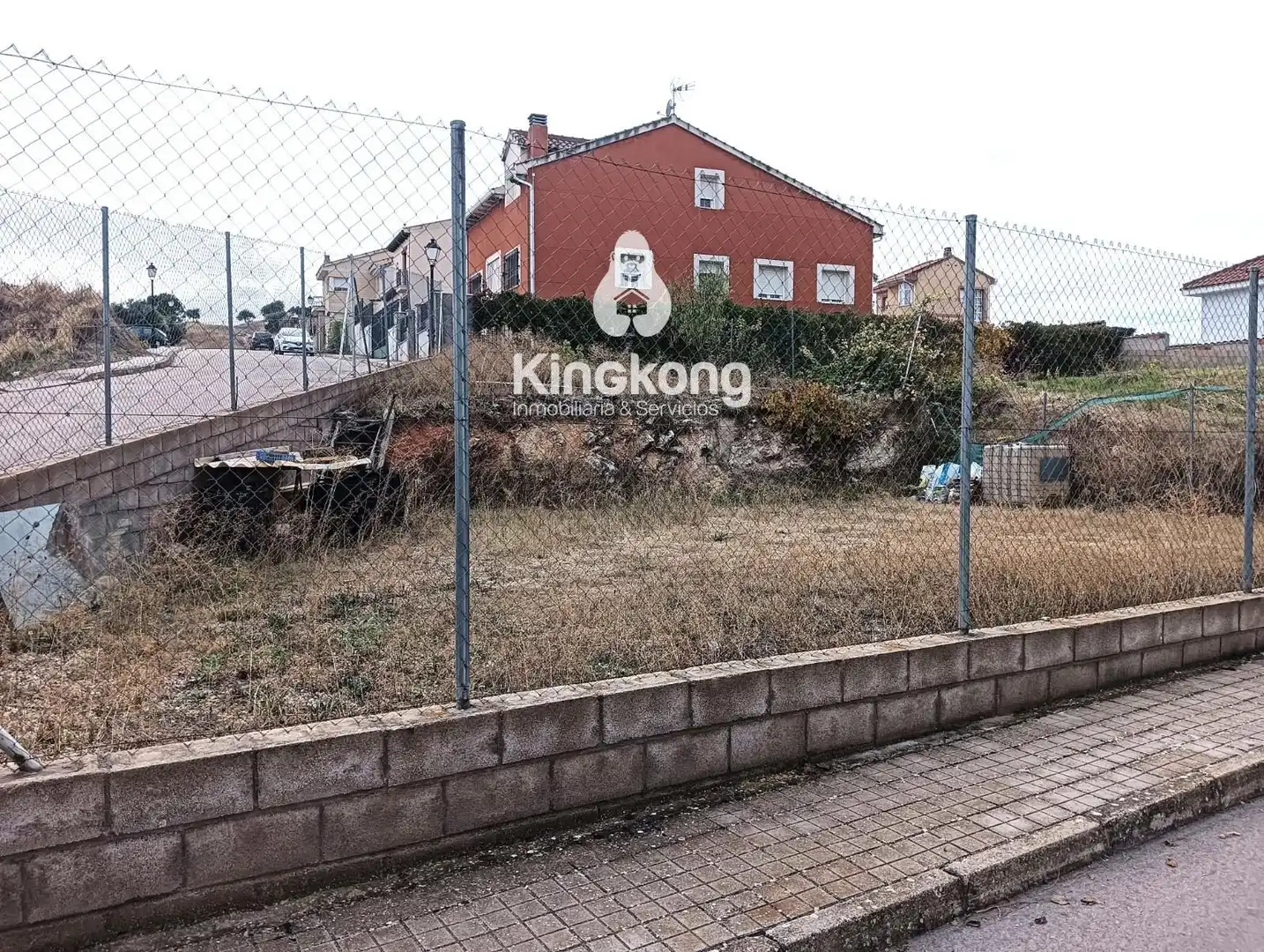 Rural land for sale in Belmonte de Tajo, imagen 4
