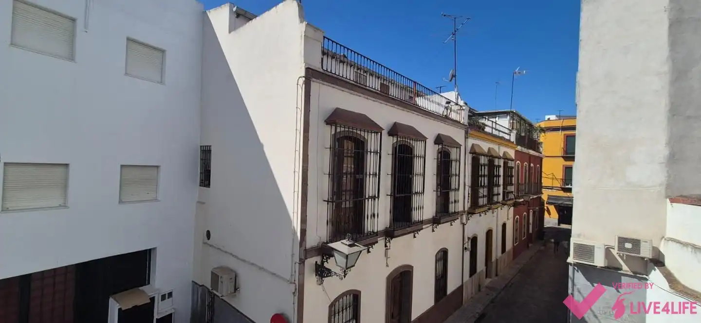 Pis amb terrassa de lloguer a Pasaje Del Marqués de Esquivel, imagen 12