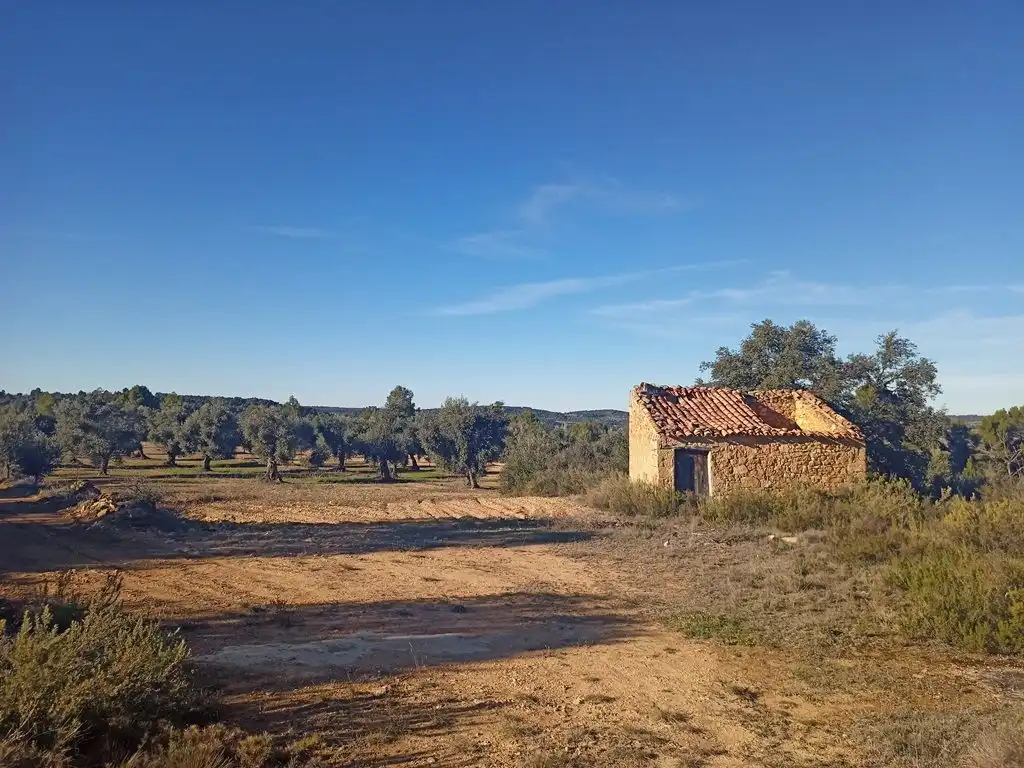 Terreni e lotti in vendita a Calaceite