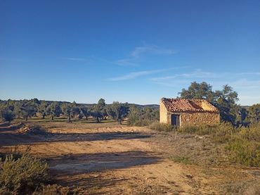 Terreno rustico in vendita a Calaceite