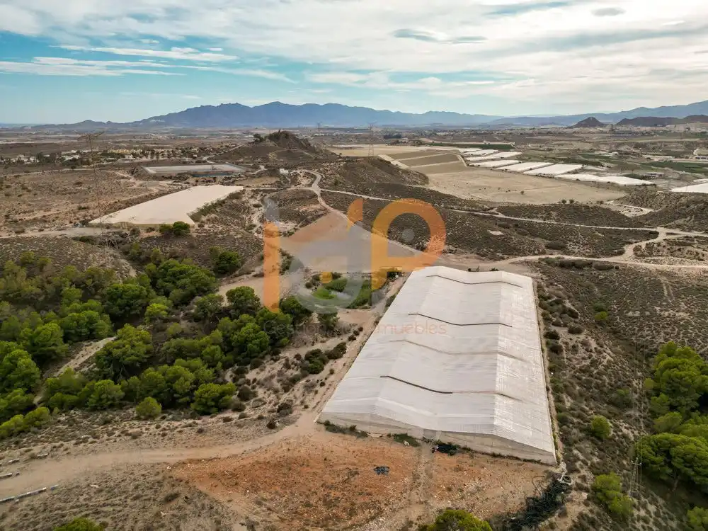 Vista exterior de Terreno en venta en Cuevas del Almanzora