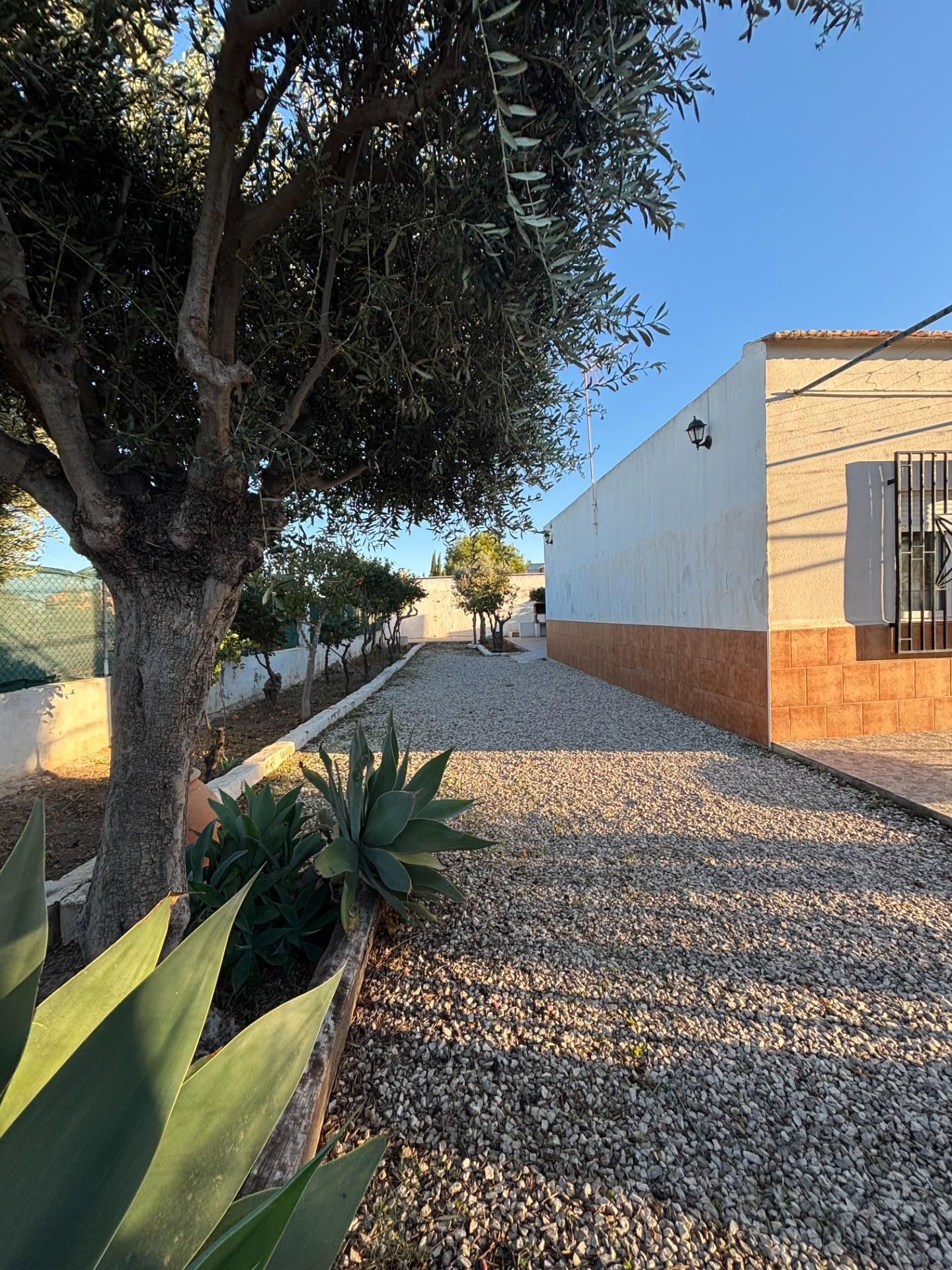 Exterior view of House or chalet for sale in Los Alcázares  with Air Conditioner, Heating and Private garden