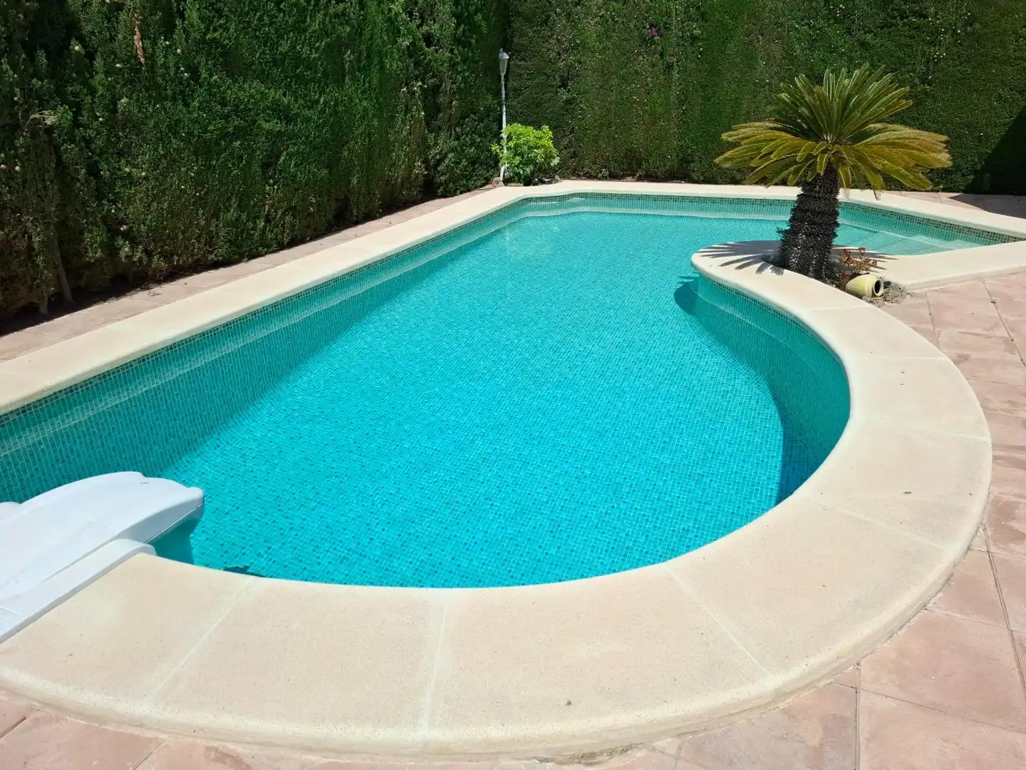 Piscina de Casa o chalet en venta en Elche / Elx con Calefacción, Jardín privado y Terraza