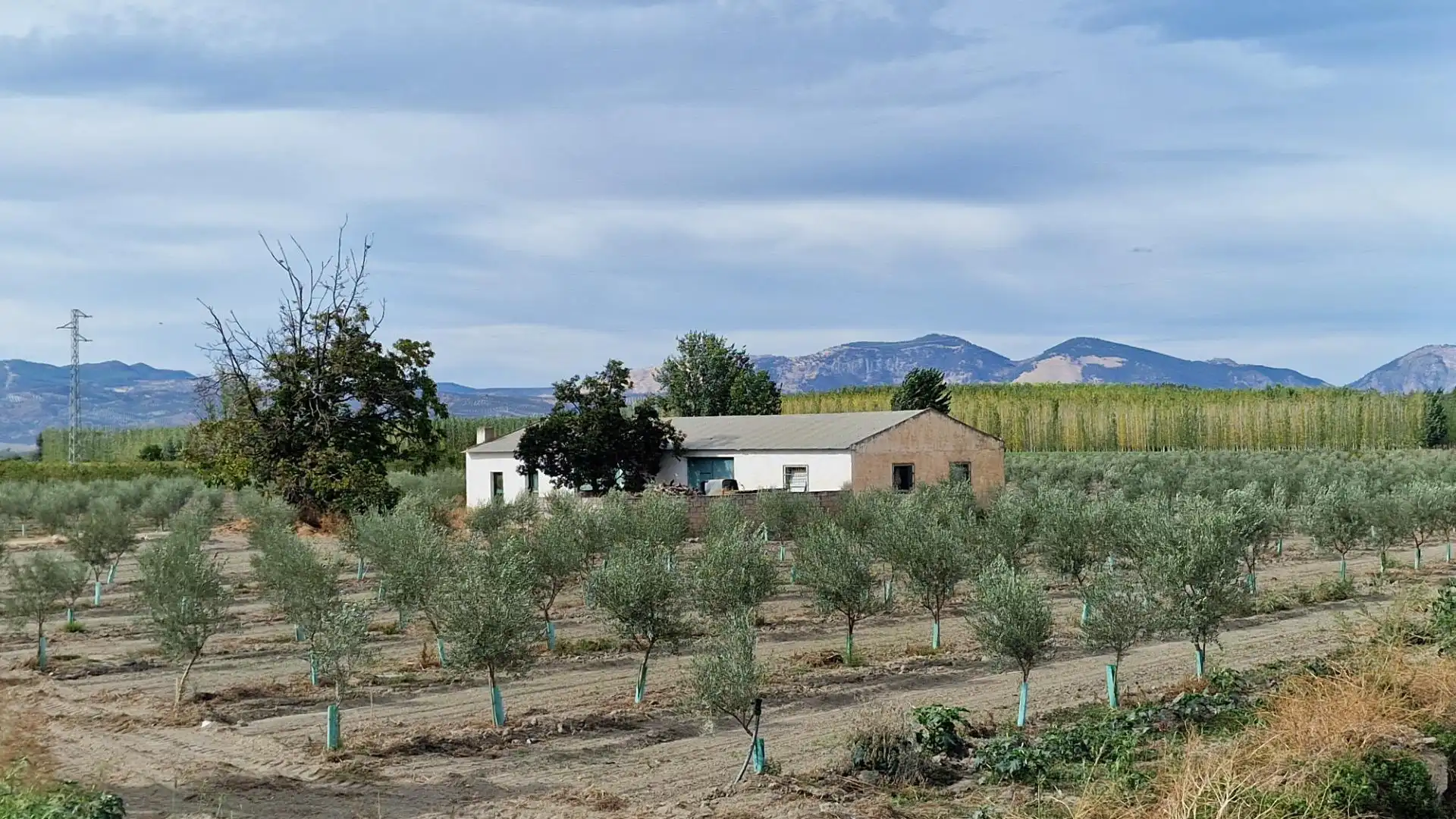 Vista exterior de Terreno en venta en Santa Fe