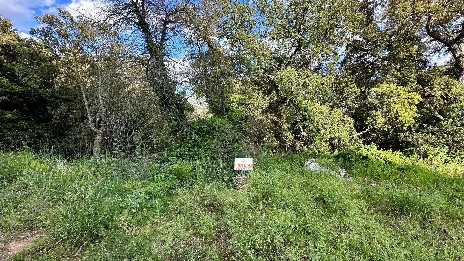 Terrenys i solars en venda a del Besòs, imagen 3
