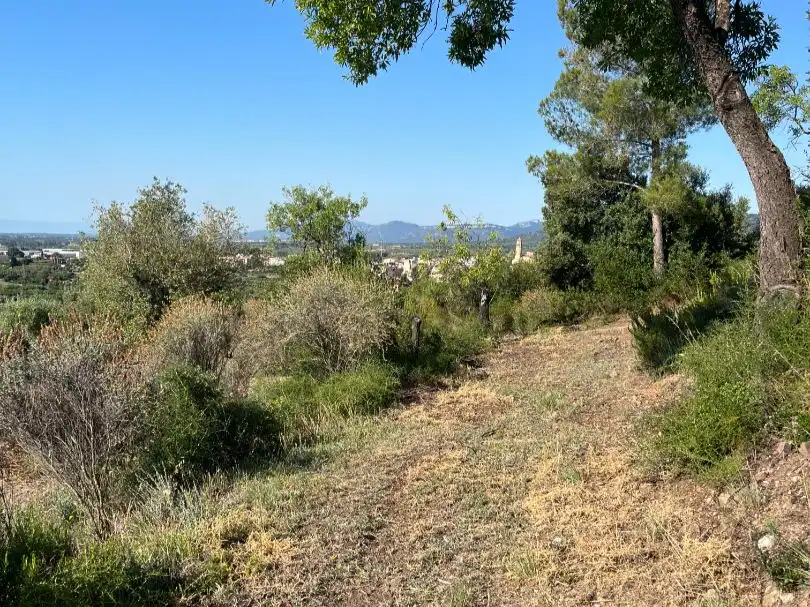 Terreno en venta en Les Borges del Camp