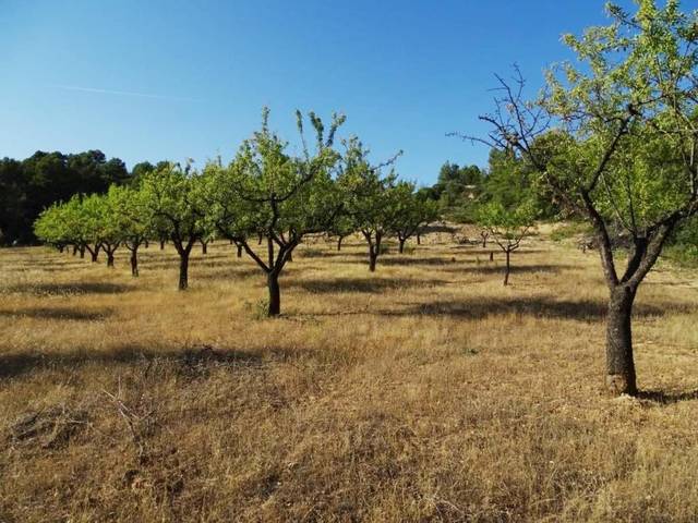 Finca rústica en Venta en Horta de Sant Joan