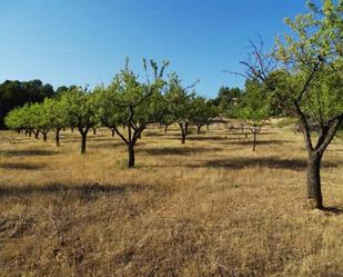 Country house zum verkauf in Horta de Sant Joan