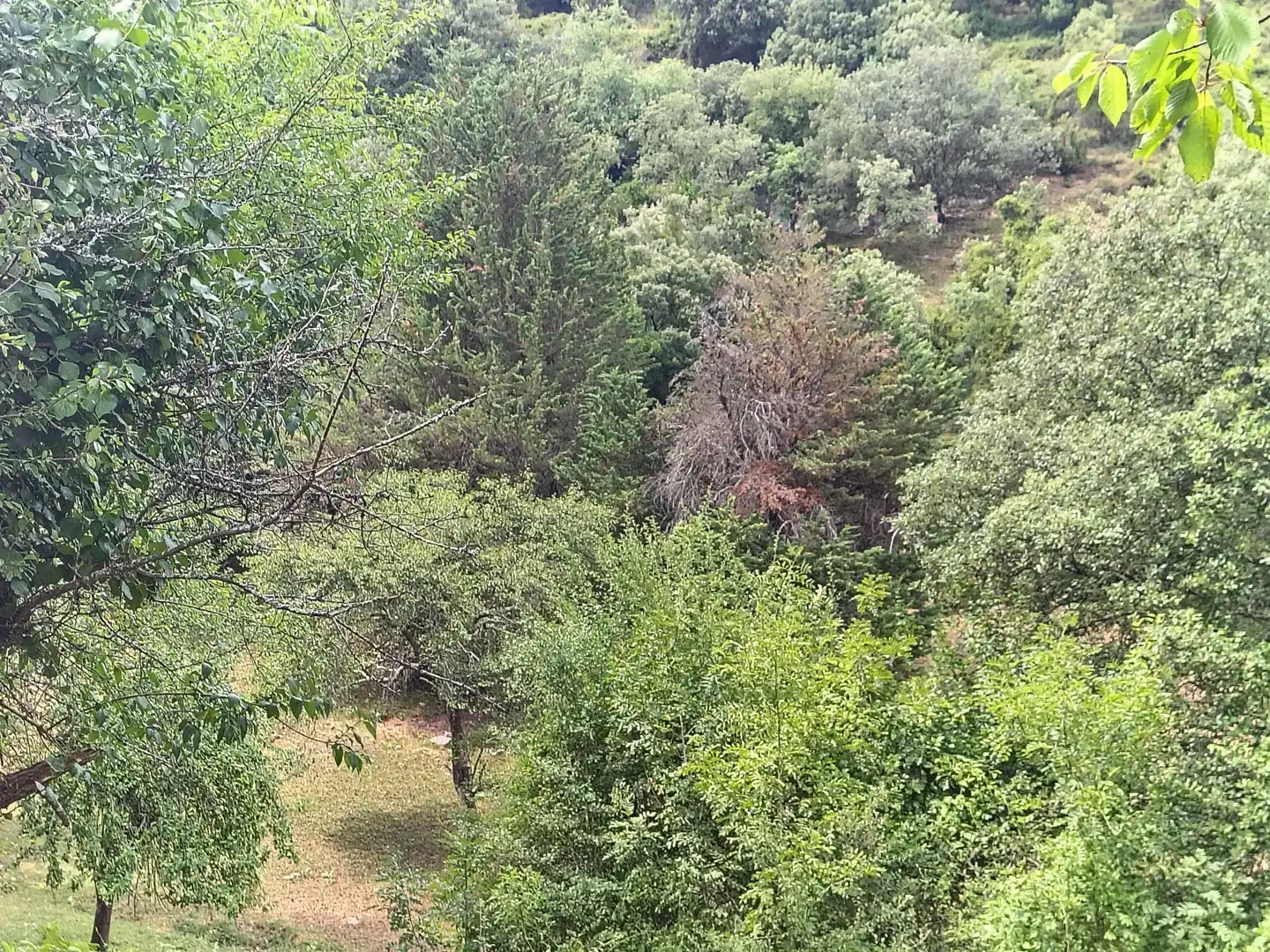Finca rústica en venda en Urduña / Orduña