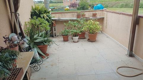 Foto 4 de Finca rústica en venda a Ciutat Jardí, Lleida