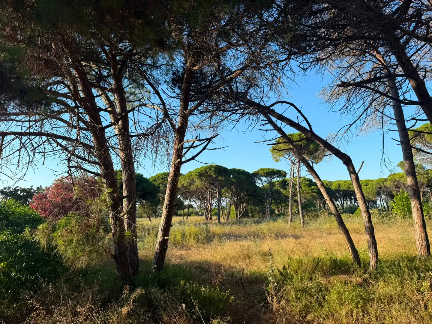 Land for sale in Gavà