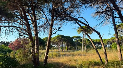 Foto 2 de Terreno en venta en Camí de la Pineda, 55, Gavà Mar, Gavà