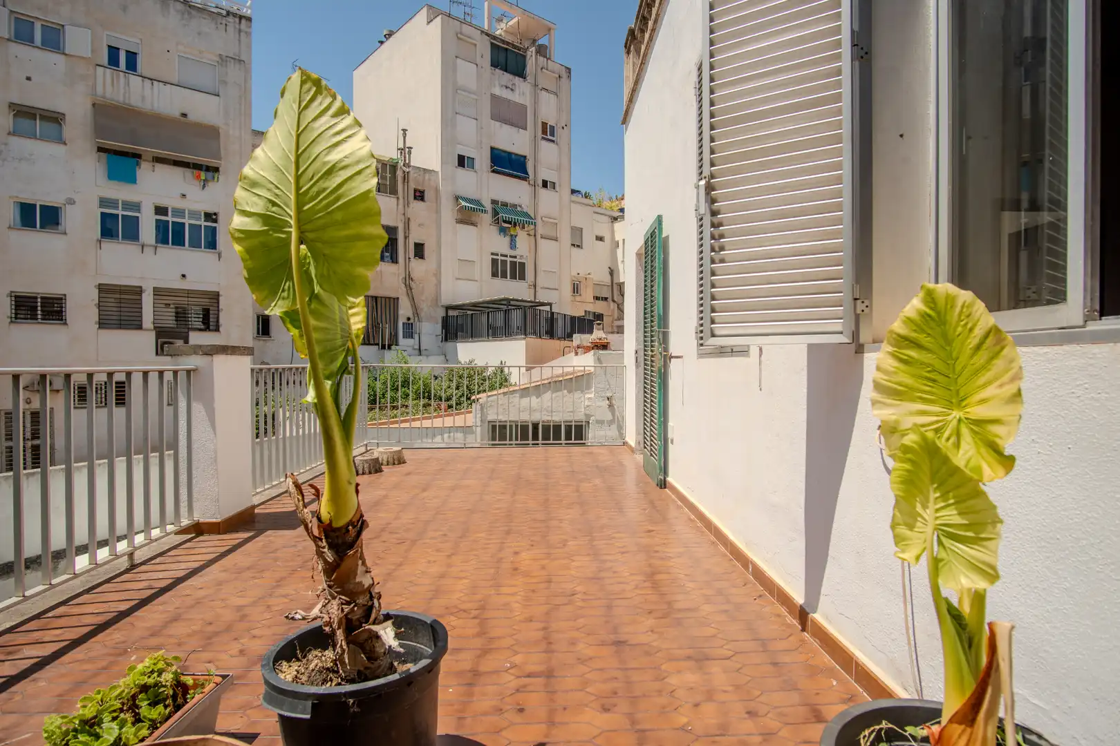 Terraza de Casa adosada en venta en  Palma de Mallorca con Jardín privado, Terraza y Trastero